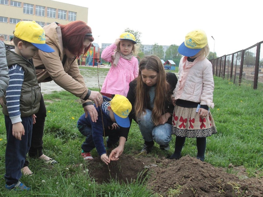 Sadzenie drzewek na radomskim Ustroniu