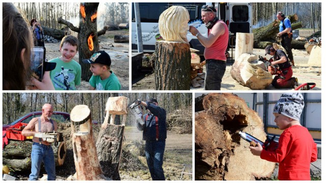 Wood carving jest coraz bardziej popularny na Kujawach. Cykliczne imprezy rzeźbiarskie organizowane są między innymi w Łojewie i Janikowie. W minioną sobotę do Janikowa zjechali czołowi rzeźbiarze z Polski, Litwy i Niemiec. Przez cały dzień w potwornym skwarze przy pomocy pił motorowych, dłut i innych narzędzi tworzyli swoje monumentalne dzieła. Dzieci i młodzież brały udział w warsztatach rzeźbiarskich. Wszyscy uczestnicy zostali nagrodzeni. Na zakończenie pikniku jedna z rzeźb, wykonana w formie drewnianego piecyka, została przez artystów podpalona. Ogień wydobywający się z oczu i ust stworzonej postaci robił na widzach wrażenie. Chętnie robili sobie przy niej zdjęcia. Następne janikowskie spotkanie z rzeźbą już na przełomie czerwca i lipca.