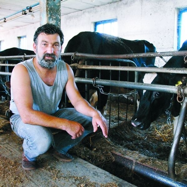 Krzysztof Pogorzelski jest znanym hodowcą w regionie. Krowy...