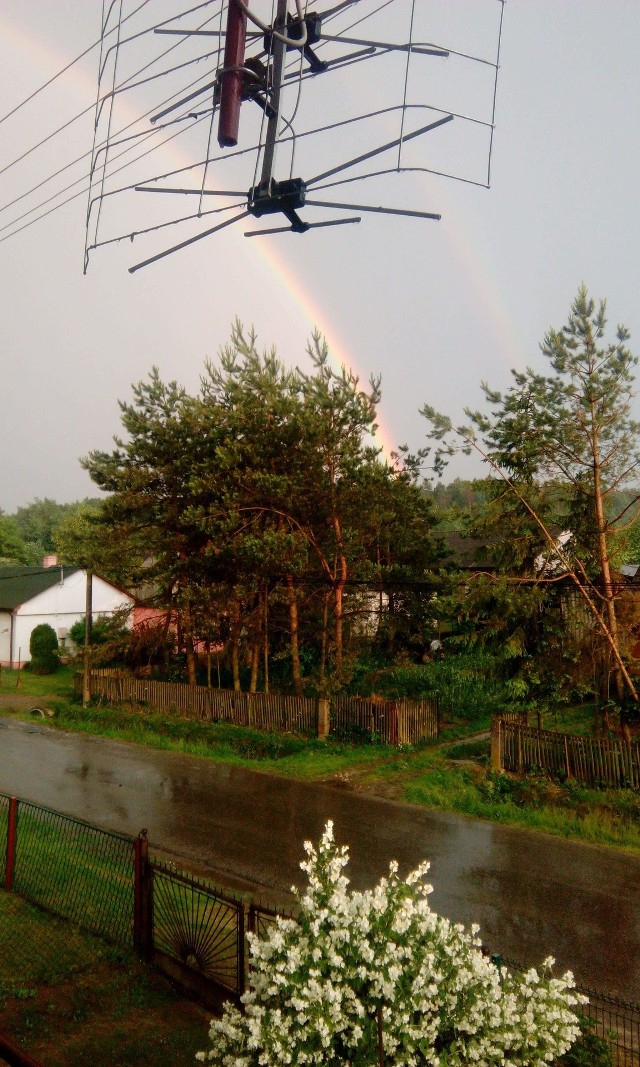 Mieszkańcy małej wsi Tarnawa (gmina Trzyciąż) po każdych większych deszczach są zalewani przez wodę. W kilku miejscach tworzą się duże rozlewiska. Woda nie nadąża odpływać z drogi i wlewa się nawet do ogródków. Drogowcy czyścili rowy, ale niewiele to dało.