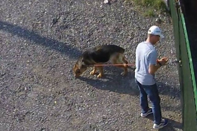 W sierpniu ub.r. wybierał się na maraton do Grecji, ale przed startem przywiązał do bramy schroniska kilkunastoletnią, ciężarną sukę. Pozostawił ją w 40-stopniowym upale na kilka godzin. A to zagrażało jej życiu.