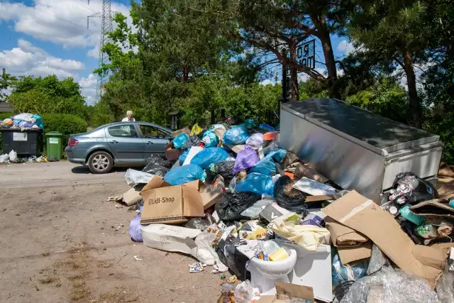 Komunalnik zostawiał śmieci nie tylko na ulicach Bydgoszczy - także przy ogródkach działkowych.