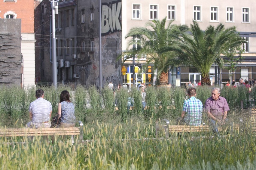 Palmy i leżaczki nad sztuczną Rawą przyciągają na Rynek w...