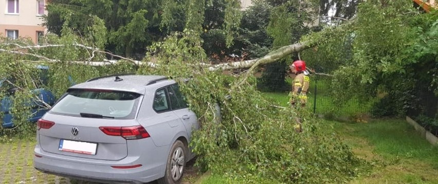 Burza w powiecie makowskim. 14.07.2021 r. Drzewo przewróciło się na zaparkowany samochód