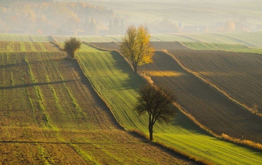 10. Krzczonowski Park Krajobrazowy...