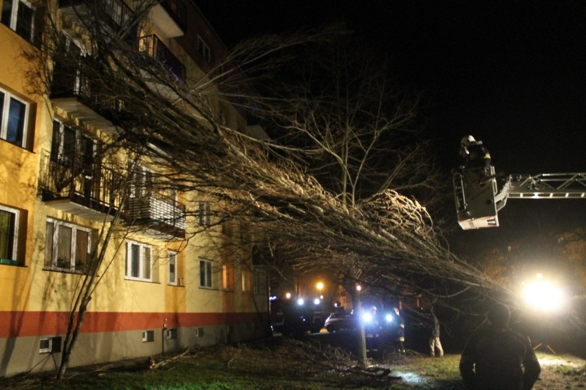 Drzewo spadło na blok [Zdjęcia, Film]