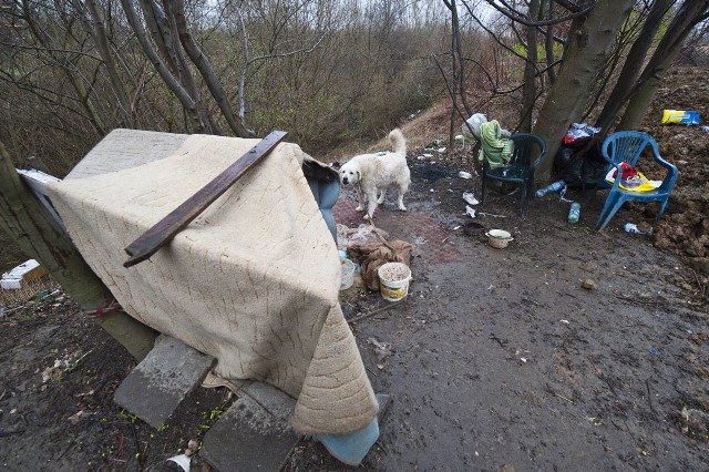 Śmieci mają stąd zniknąć, kiedy będzie sucho. Od stycznia najwyraźniej wciąż padało... Kudłaty lokator zostanie zaś w tym miejscu dotąd, dopóki jego właściciel nie dostanie mieszkania komunalnego.