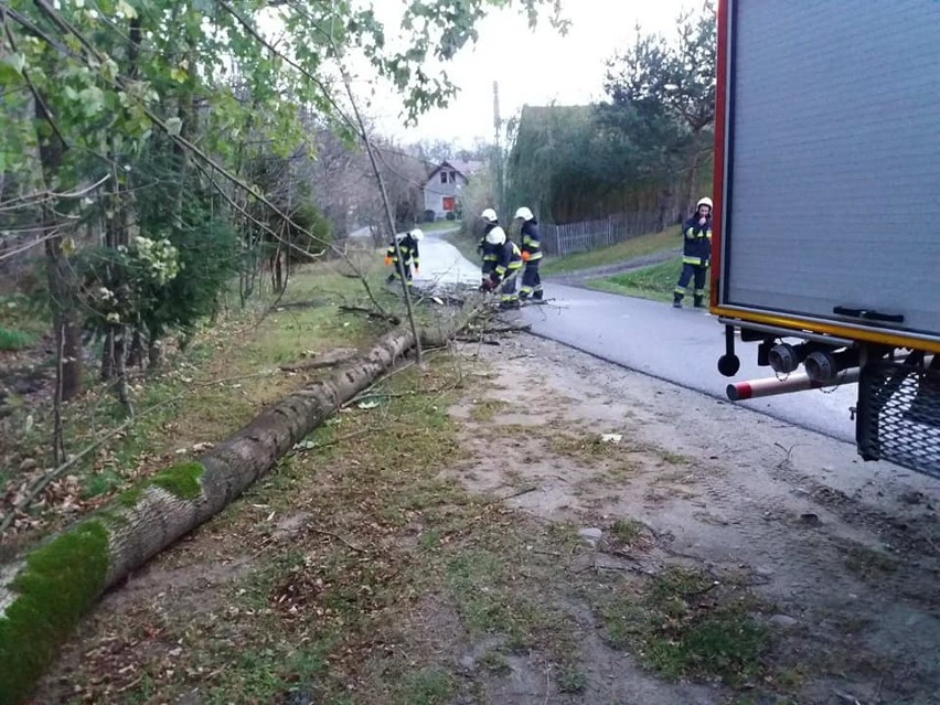 Sądecczyzna. Powalone drzewa, zerwane linie i uszkodzony dach. Wiatr daje się we znaki [ZDJĘCIA]