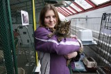 Toruńskie schronisko dla zwierząt tworzą ludzie z pasją! - Niemożliwe jest całkowite odcięcie się od tej pracy - mówi jedna z wolontariuszek
