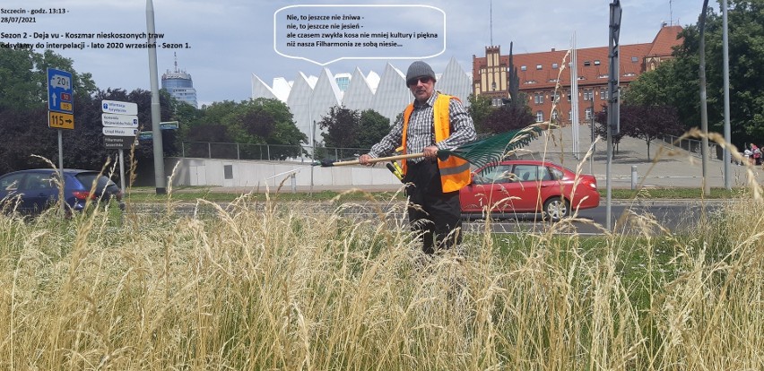 Radny Robert Stankiewicz w centrum miasta kosił wysoką trawę, by ratować honor Szczecina. Doczekał się odpowiedzi na apel
