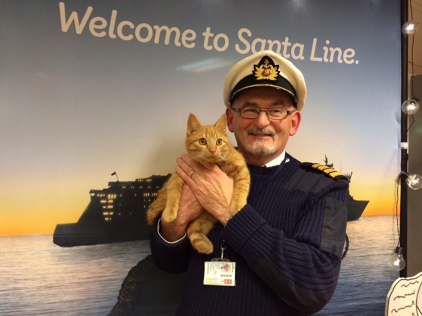 Kot pasażer na gapę ze Stena Line ma już nową  właścicielkę 
