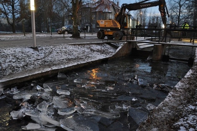 Ciężki sprzęt łamie taflę lodową w rejonie ujścia jeziora Trzesiecko do rzeczki Niezdobnej. Pomoc przyszła w samą porę, bo zamarznięte jezioro to pułapka dla ptaków.