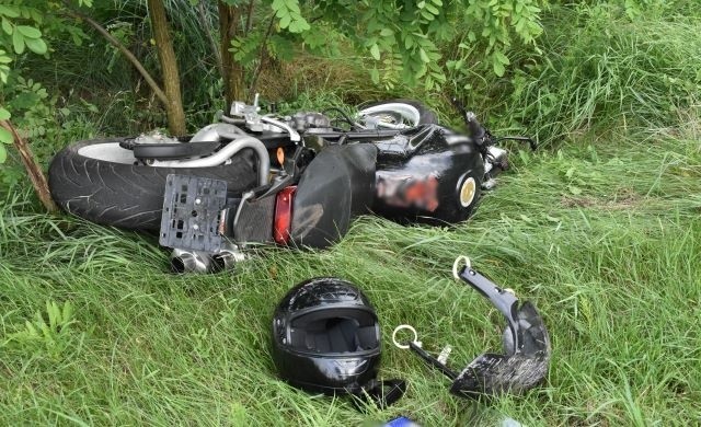 Motocyklista zderzył się z przebiegającym przez jezdnię łosiem. Do wypadku doszło w Słopsku w pow. wyszkowskim