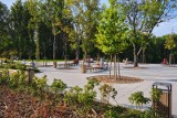 Częstochowa przystępuje do drugiego etapu rewitalizacji Parku Lisiniec