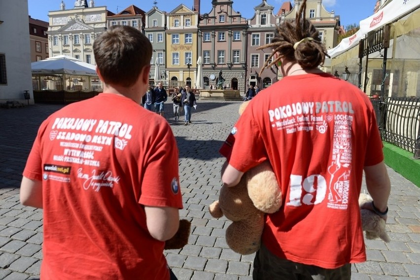 Nie bij mnie, kochaj mnie: 500 smutnych misiów w Poznaniu