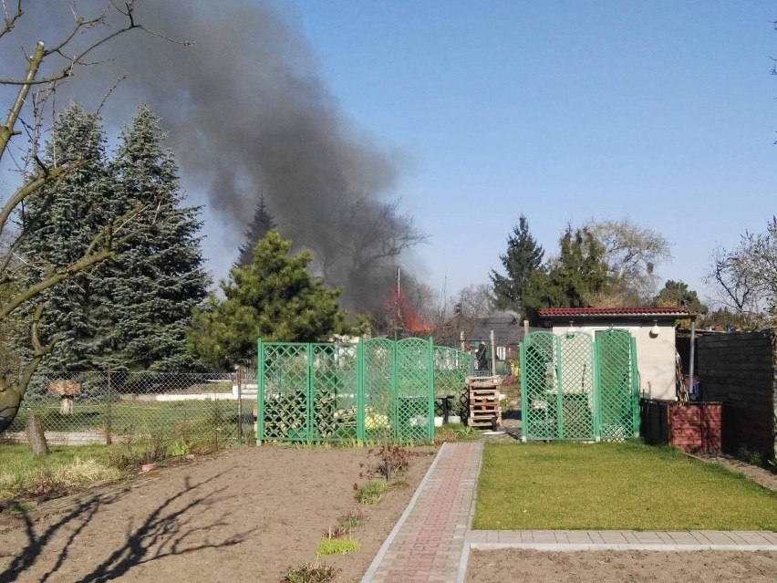 Duży pożar w pobliżu al. Kochanowskiego. Straż w akcji (ZDJĘCIA)