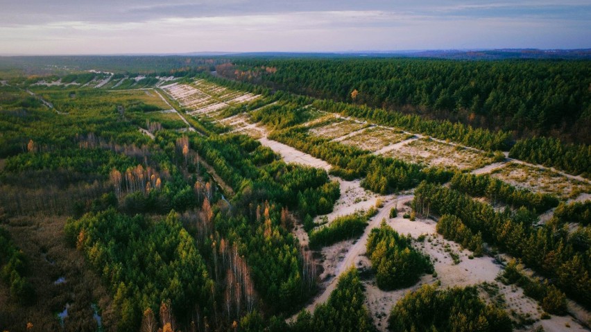 Kompas z Bukowna powstał na terenie dawnej kopalni piasku....