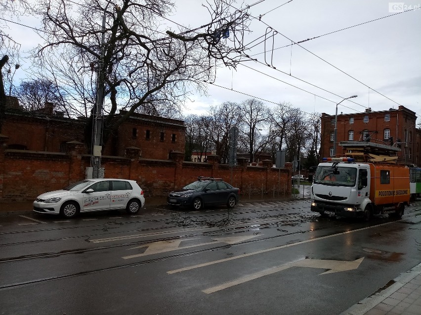 Szczecin. Konar drzewa spadł na trakcję tramwajową. Są utrudnienia