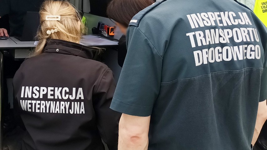 Zastrzeżenia Inspekcji Transportu Drogowego w przewozach...