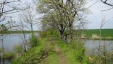 W gminie Kołbaskowo powstanie malownicza ścieżka. Po dwóch latach od podpisania umowy z wykonawcą