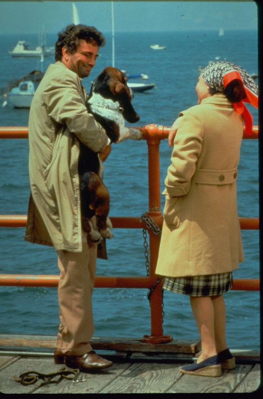 Columbo często był też widywany ze swoim psem bassetem....