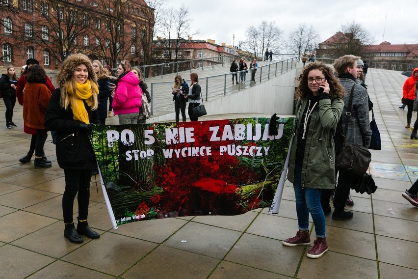 Strajk młodzieży dla klimatu w Szczecinie. Zrezygnowali z lekcji by uświadamiać polityków [ZDJĘCIA, WIDEO]