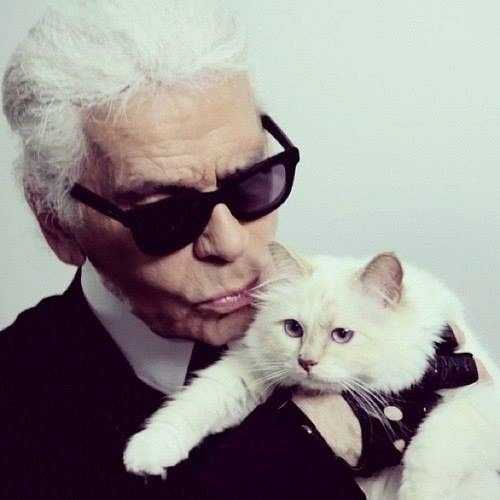 Karl Lagerfeld z Choupette