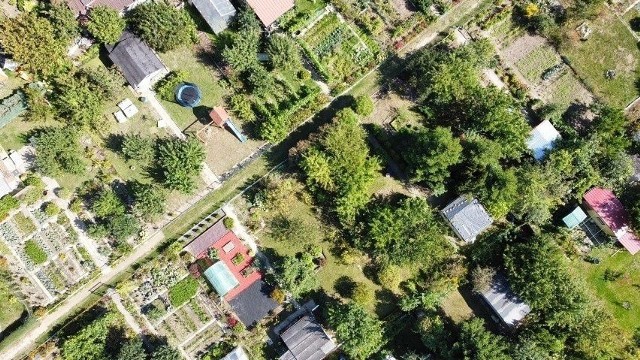 Gorzów wspiera działkowców. Ma dla nich pieniądze na inwestycje.