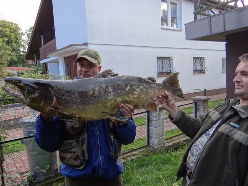 Taaaaka ryba z Parsęty. Zobacz zdjęcia!