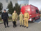 Poznańscy strażacy i pies jadą do Turcji, by pomóc ofiarom trzęsienia ziemi