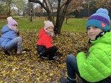 Uczniowie toruńskich szkół posadzili w mieście 4 tysiące tulipanów