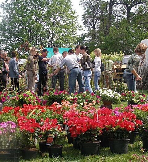 Na miłośników kwiatów będzie czekało kilkudziesięciu ogrodników z całej Polski. Nie zabraknie też straganów spożywczych, rękodzielniczych i ekologicznych. Stoiska będą czynne w sobotę i niedzielę  od 10 do 18.