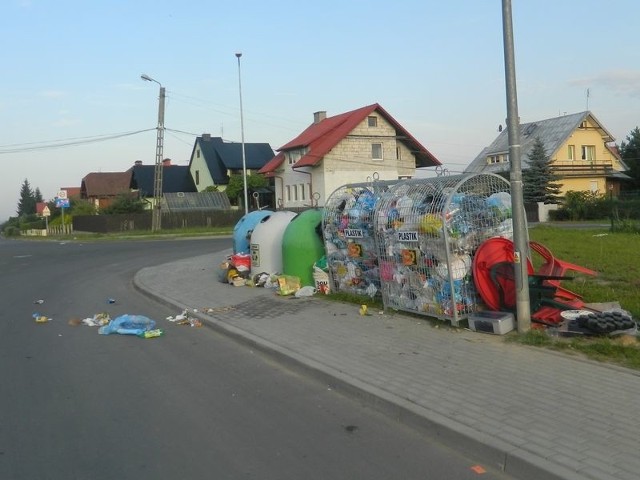 Śmieci podrzucone pod kontenery przy ul. Jodłowej zostały rozrzucone po jezdni przez okoliczne psy. 