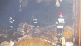 Wielki pożar kurzej fermy - spłonęły 33 tys. kurczaków