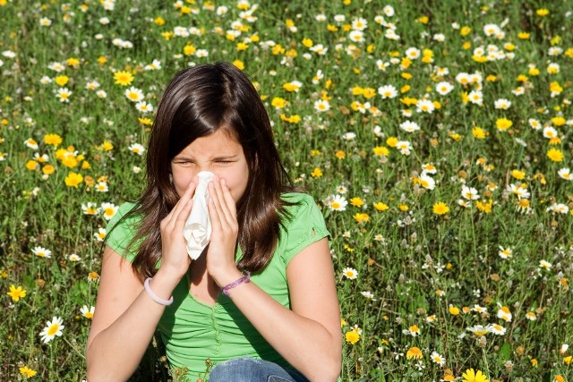 Katar sienny jest objawem alergii.