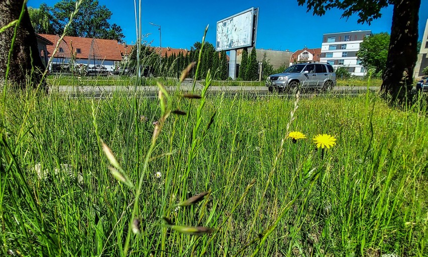 - Może to było zaplanowane  i tak ma być? - zastanawiają się...