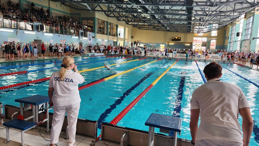 Otwarte Mistrzostwa Ostrołęki w Pływaniu. Rywalizowali młodzi adepci pływania ze wszystkich ostrołęckich klubów