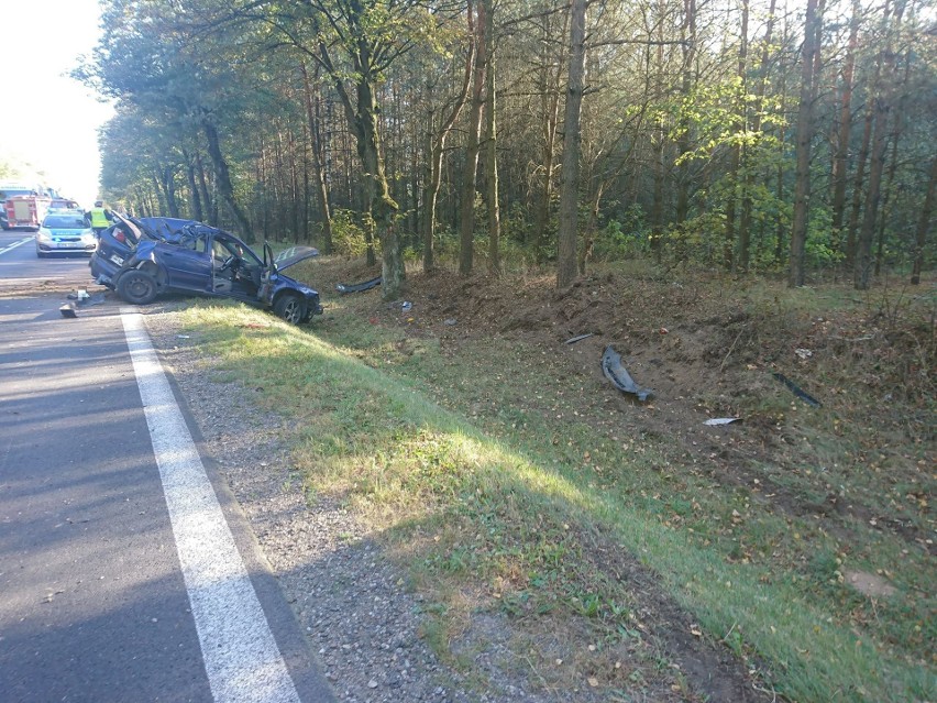 Horodnianka: Wypadek na DK 8. Samochód uderzył w skarpę i przydrożne drzewo [ZDJĘCIA]
