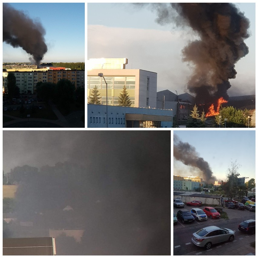 Pożar na Gumieńcach w Szczecinie. Spłonął budynek przy uniwersytecie [WIDEO, ZDJĘCIA]