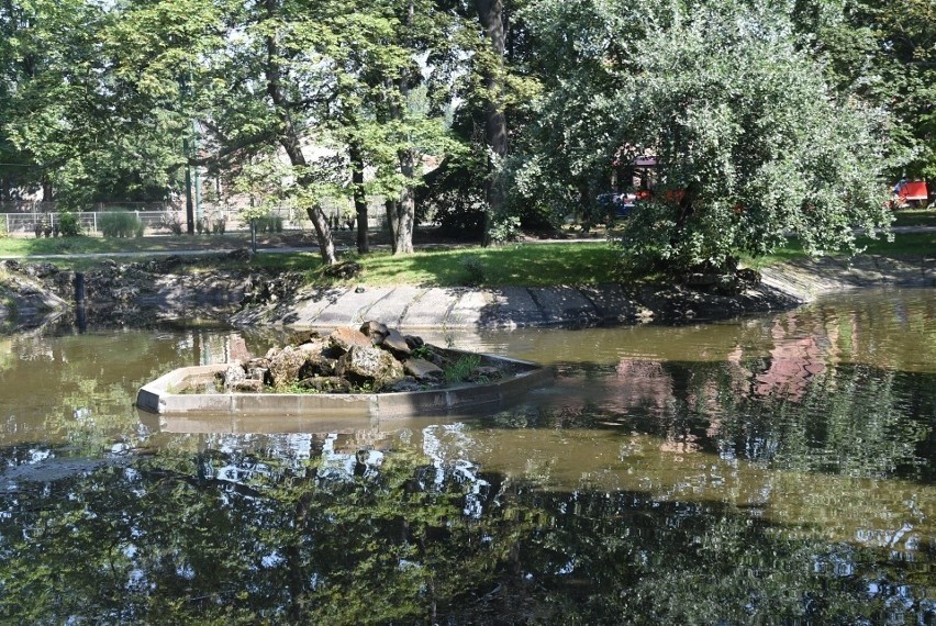 Park Dietla w Sosnowcu