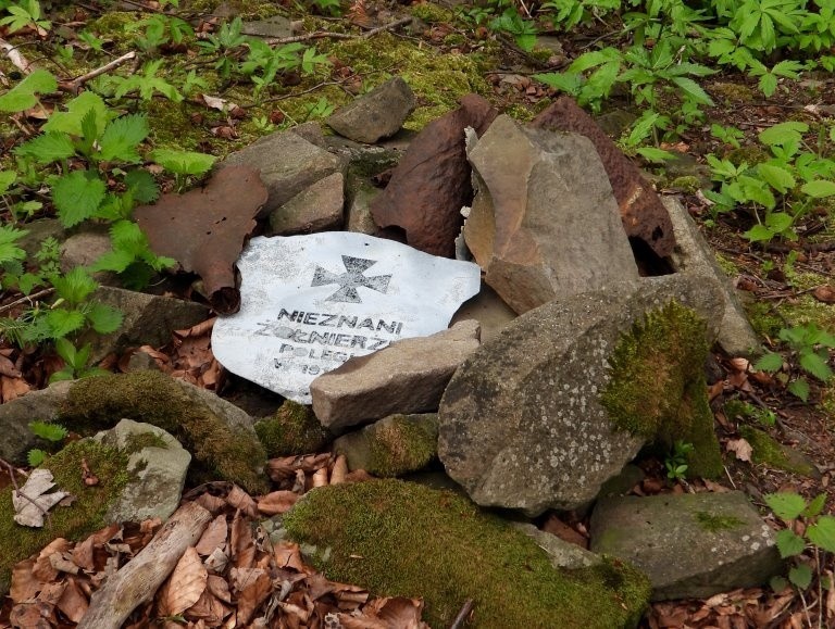 Po stu latach powstanie żołnierski cmentarz na zboczach Manyłowej w Bieszczadach. Odnaleziono tam szczątki poległych [ZDJĘCIA]