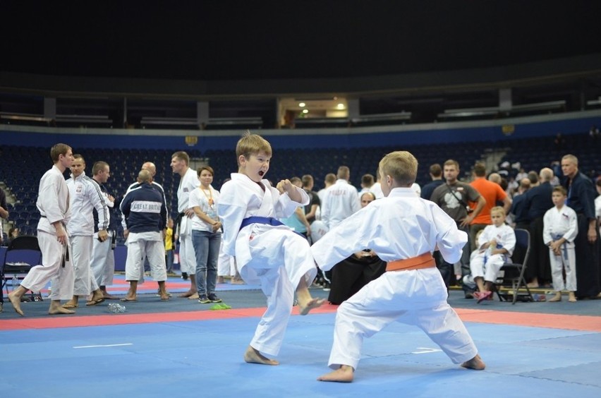 Sukcesy karateków w Wilnie
