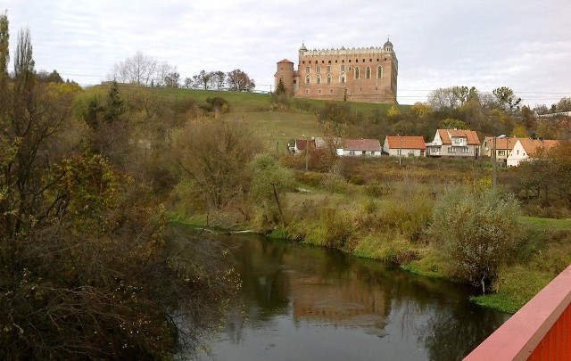 Golub-Dobrzyń