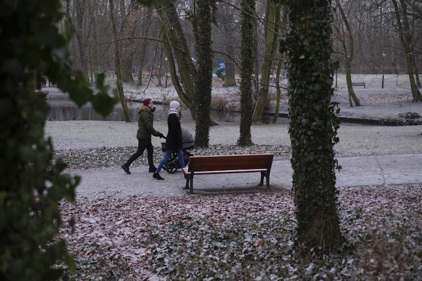 Ważą się losy Sołacza i zachodniego klina zieleni. Miejska...