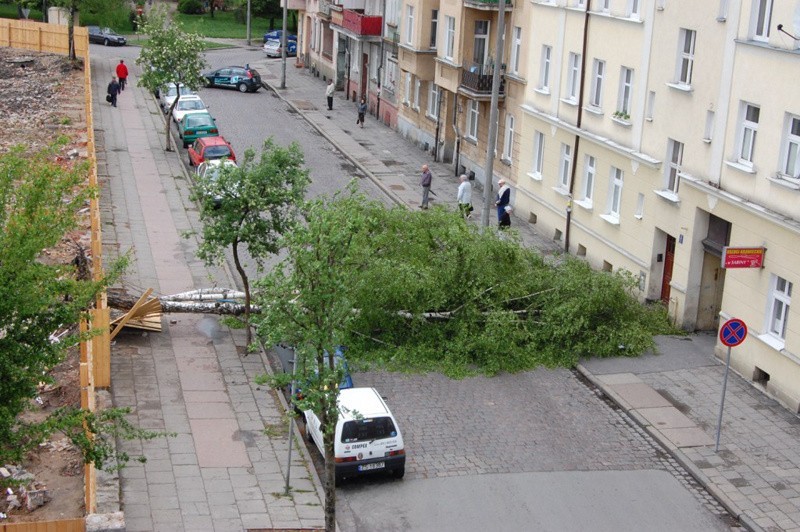 Powalone drzewo na ul. Zeromskiego w Slupsku. Zdjecia...