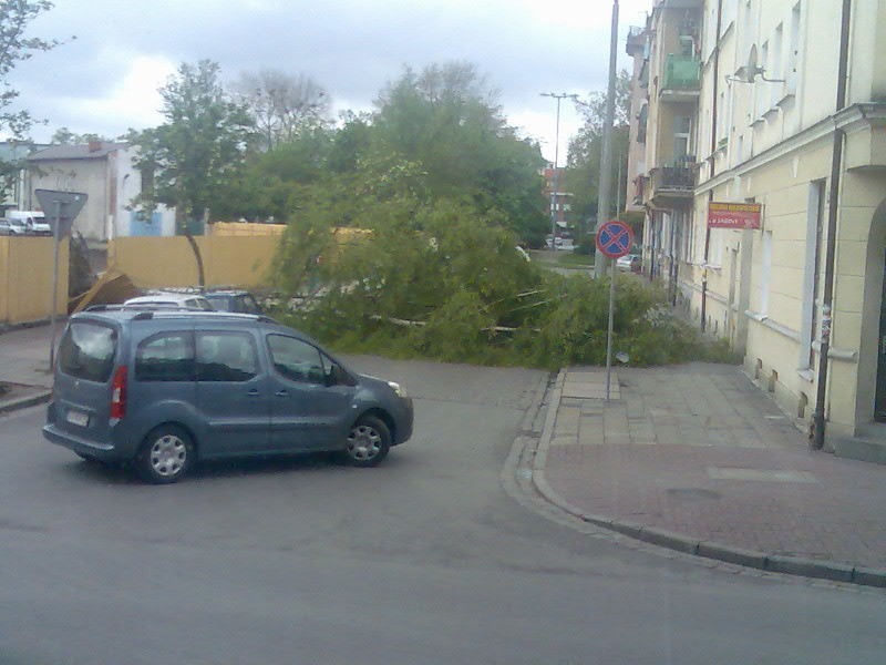 Powalone drzewo na ul. Zeromskiego w Slupsku. Zdjecia...