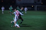 Odra Opole - Warta Poznań 1:1 (GALERIA)