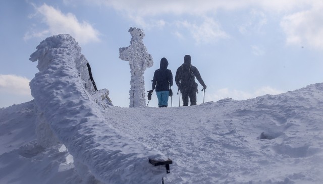 Cudowna, słoneczna pogoda na pierwszy dzień wiosny na Tarnicy. Miłośnicy Bieszczadów dopisali!