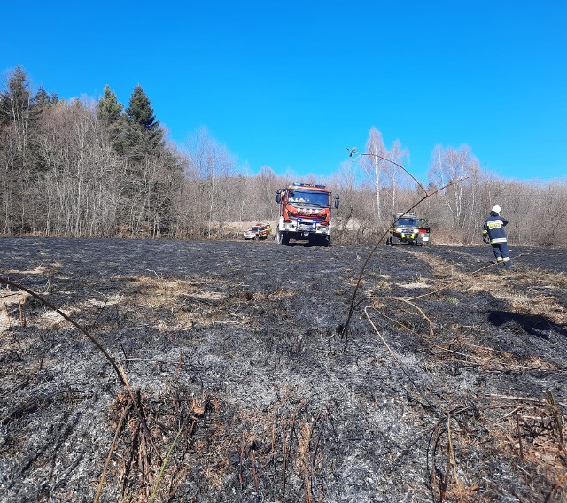 Strażacy z OSP Łososina Górna brali udział w gaszeniu pożaru traw w Makowicy. Kobieta, która rozpaliła ognisko, poważnie ucierpiała. Zmarła we wtorek 15 marca w szpitalu.