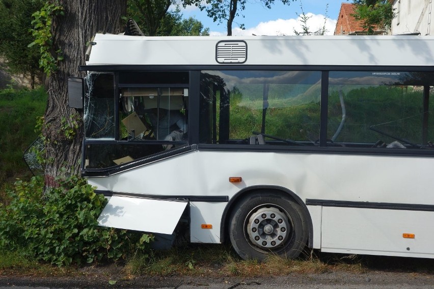 Wypadek w Zarębie pod Lubaniem. Autobus wjechał w drzewo, 22 osoby ranne 